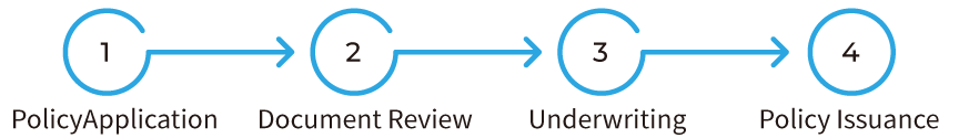 Insurance Policy Operations Process DIMS Application for Insurance-Digital Transformation